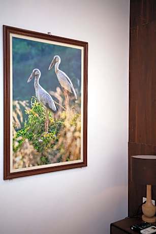 Triple - 1 Queen 1 Single