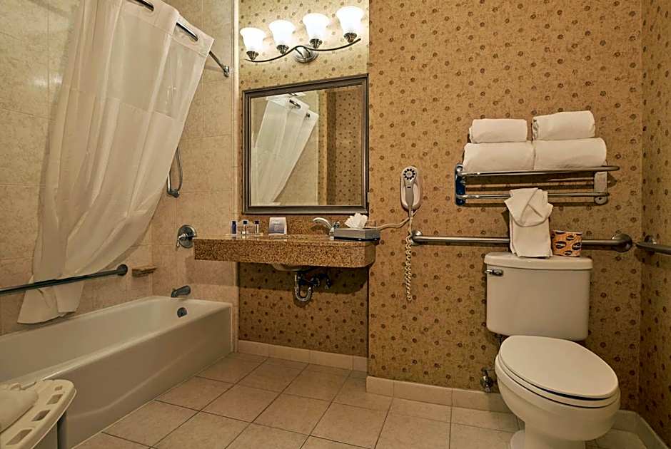 Wingate by Wyndham Chihuahua