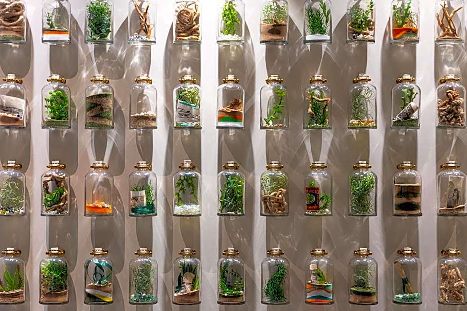 ibis Styles Paignton