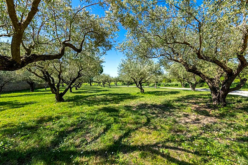 Domaine Des Escaunes