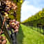 Hotel Girlanerhof