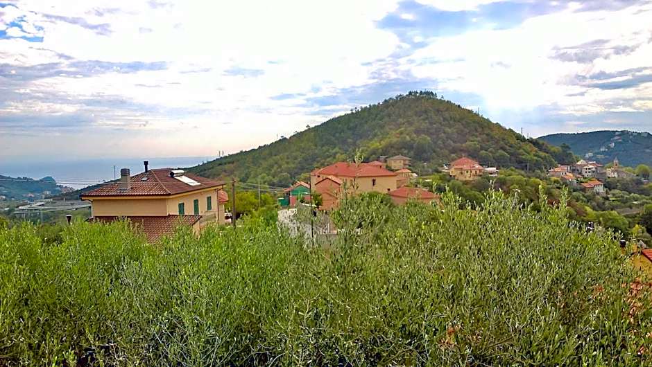 B&B Elfo degli Ulivi