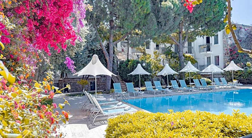 Moonshine Hotel & Suites