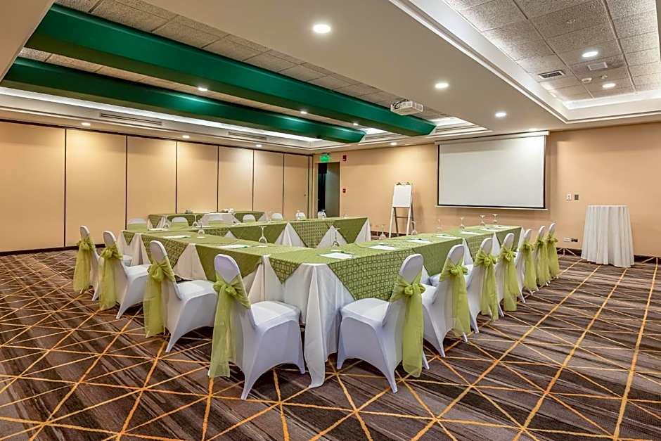 Holiday Inn San Jose La Sabana by IHG