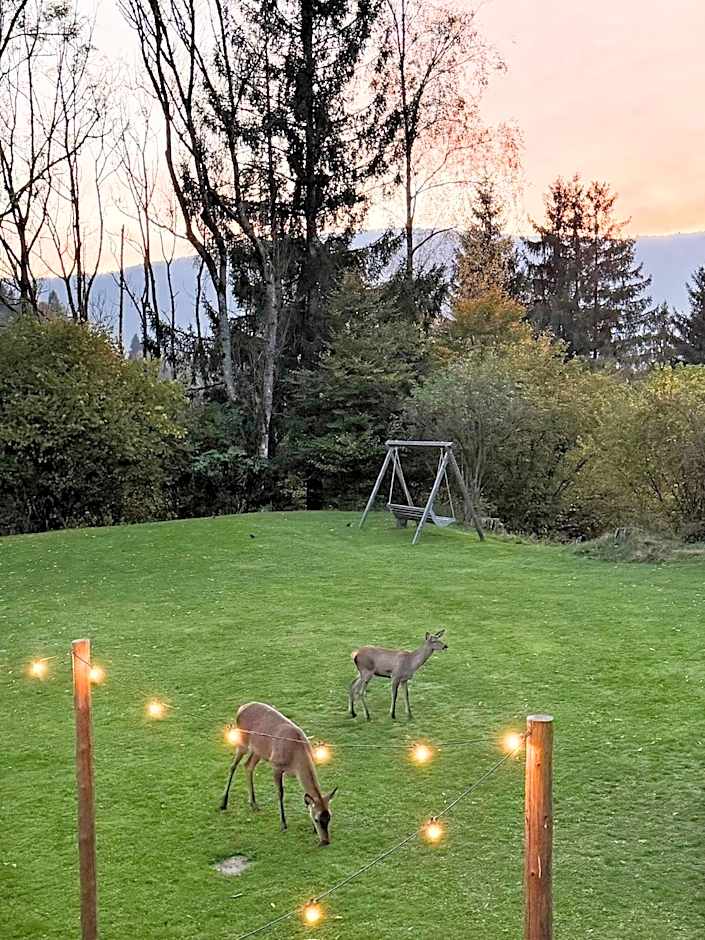 Pension Gasthof Arriach