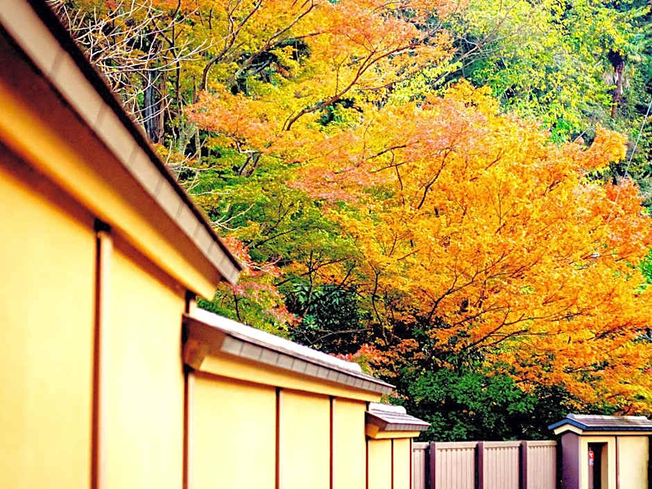 Kita-Kamakura 520ゴーニーマル