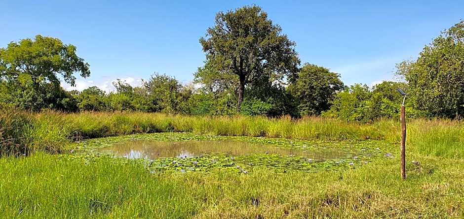 Africa Safari Selous Nyerere national park