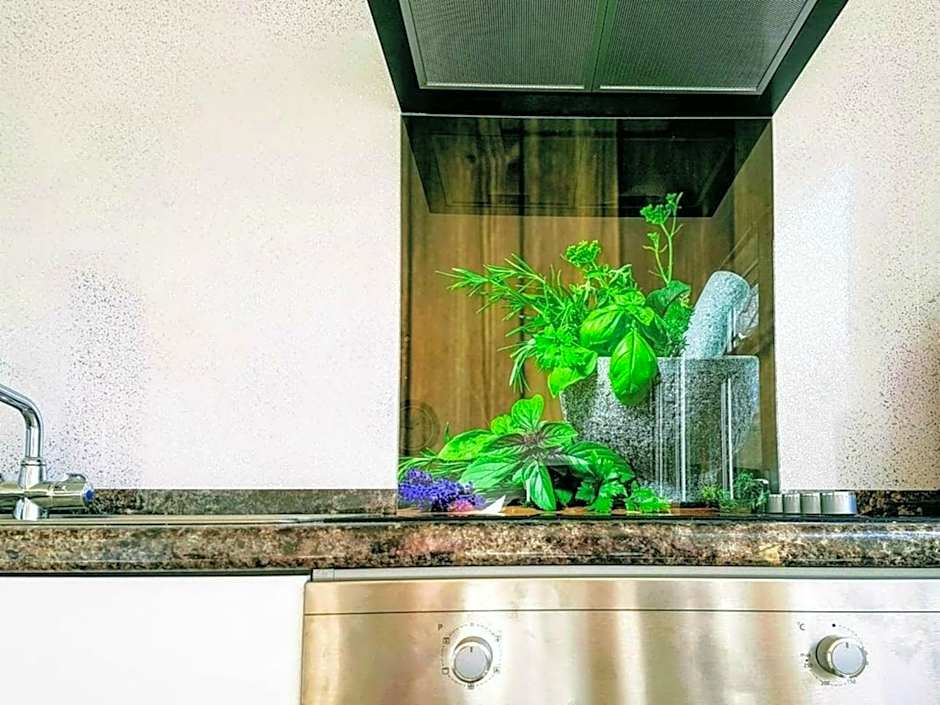 Dawlish Warren Holidays