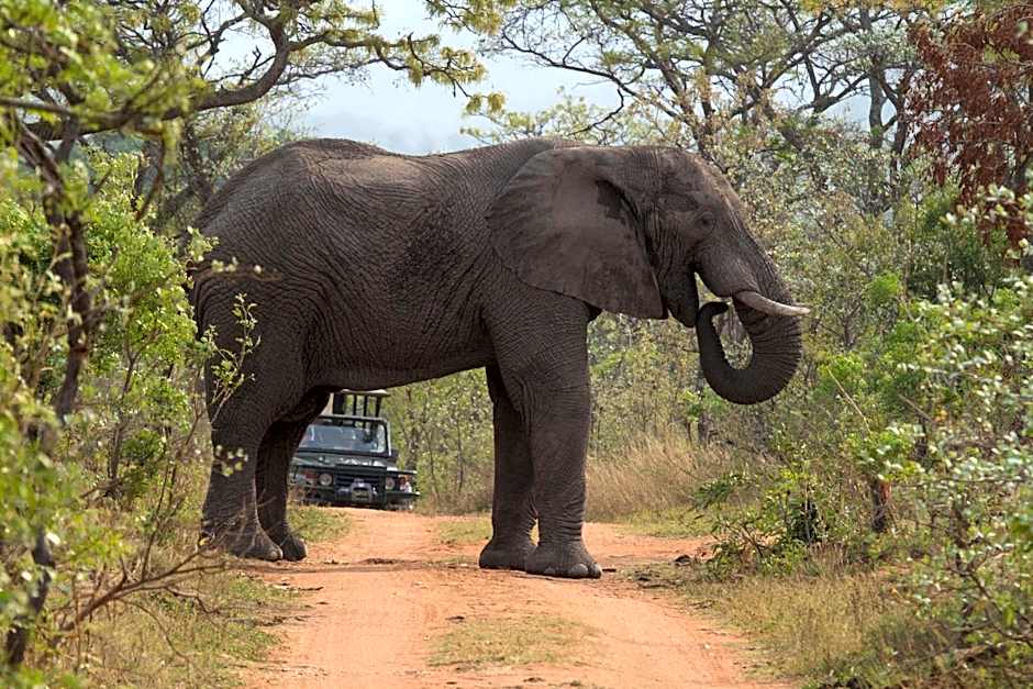 Inzalo Safari Lodge