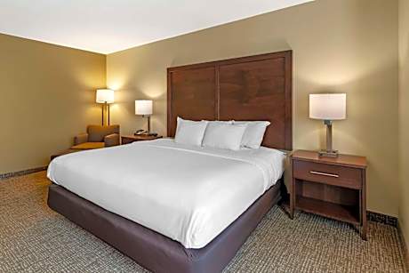 1 King Bed, Nonsmoking, Accessible