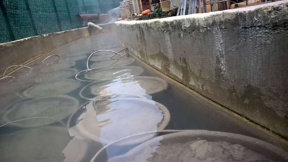 Hotel Terme Belvedere