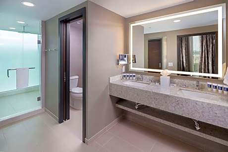 Presidential King Suite