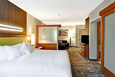 Studio, 1 King Bed with Sofa bed (1 King Bed and 1 Double Sofa Bed)