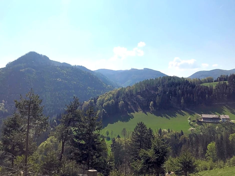 Waldblick Landhaus B&B