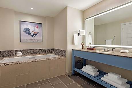 Suite King Bed One Bedroom 