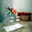 Corte delle Camelie Bed and Breakfast