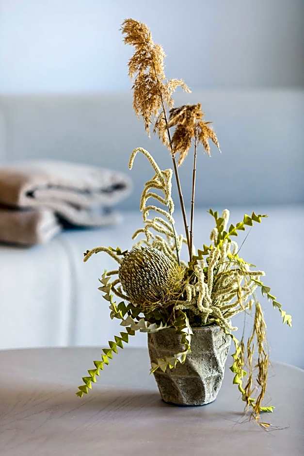 Hôtel Spa & Restaurant - Son de Mar