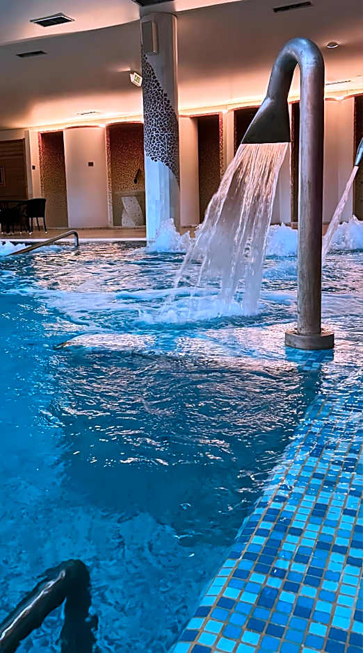 Palace Hotel & Spa - Termas de Sao Vicente