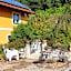 Weingut Schatz