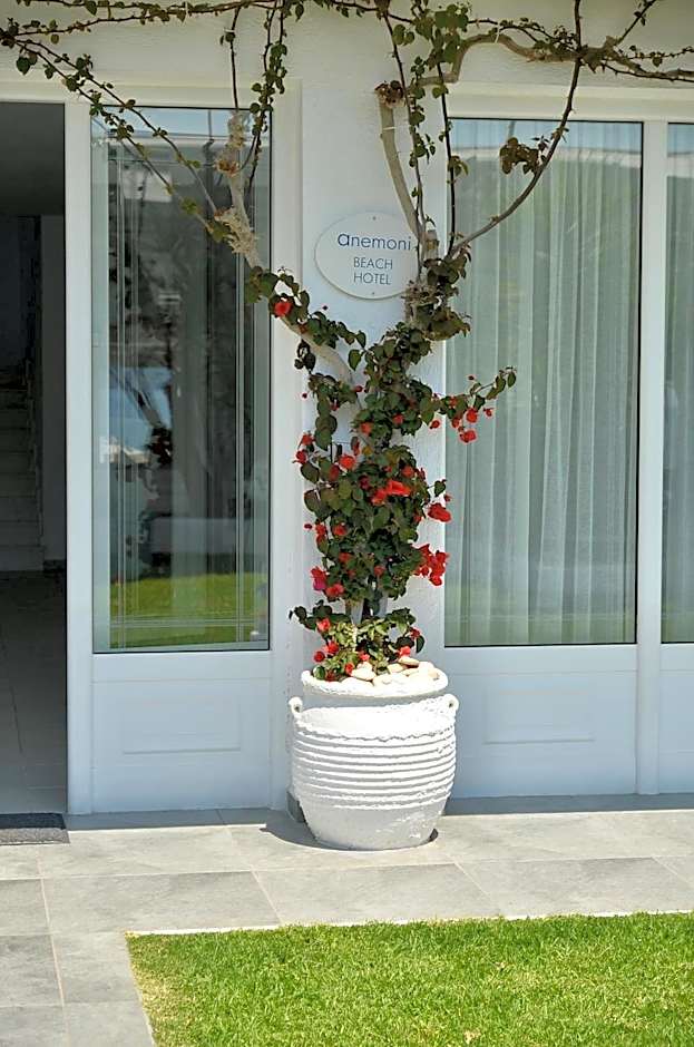 Anemoni Beach Hotel