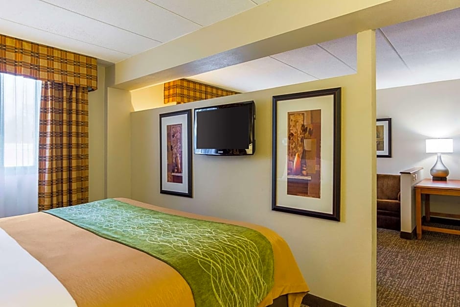 Comfort Inn Herndon-Reston