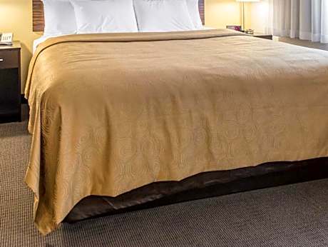 King Suite with Sofa Bed - Non-Smoking
