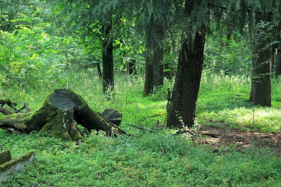 Country Hotel Castelbarco