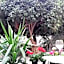 Residence Ortigia