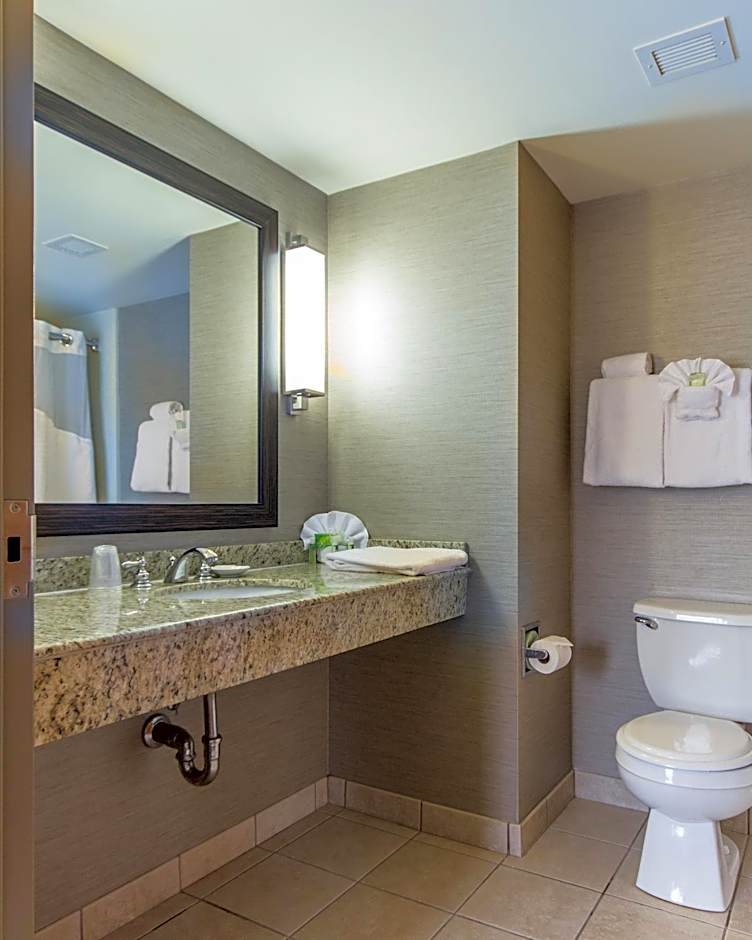 Holiday Inn Express Hotel & Suites Auburn By IHG