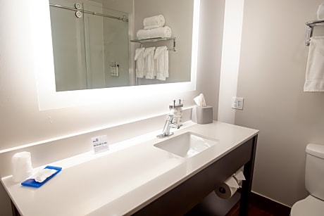 King Room - Mobility Access/Hearing Accessible