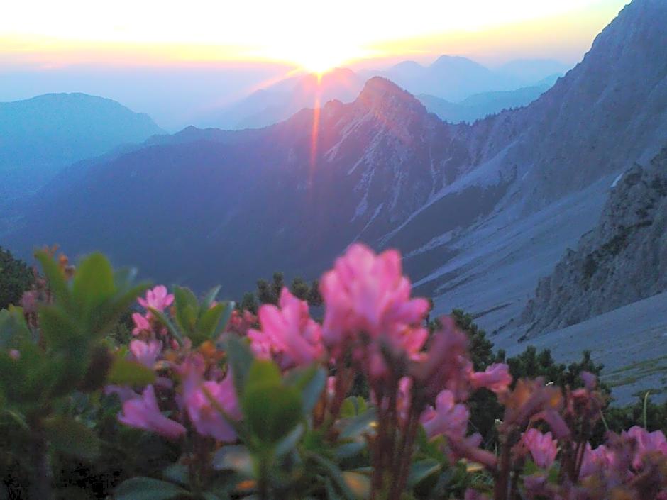 Bed&Breakfast Lausegger