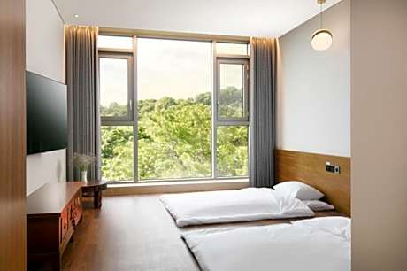 Triple Room with Terrace