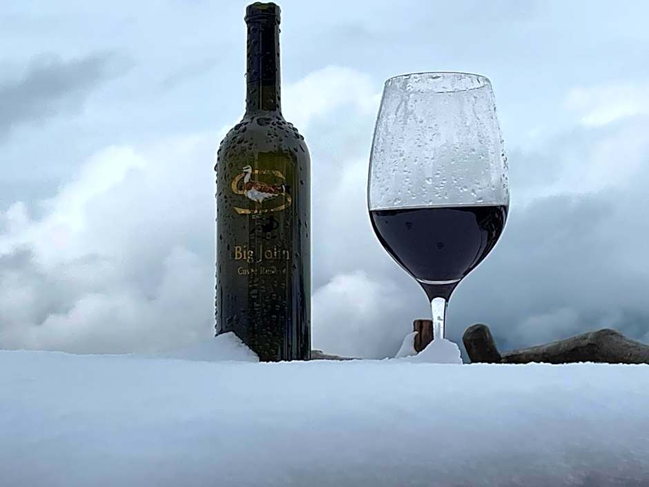 Hocheckhuette On Top of the Kitzbuehel Hahnenkamm Mountain