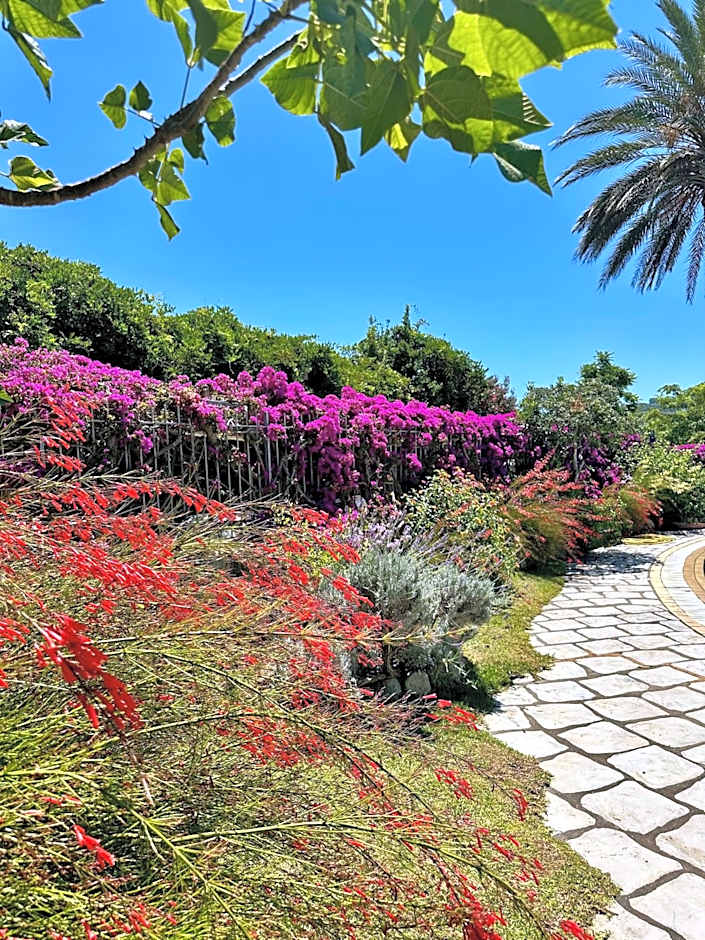 Hotel Boutique Ideal