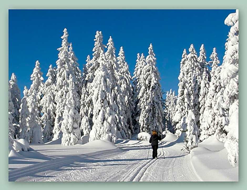 GarniHotel - Arberblick