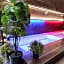 Anna SPA & Wellness Hotel Nejdek