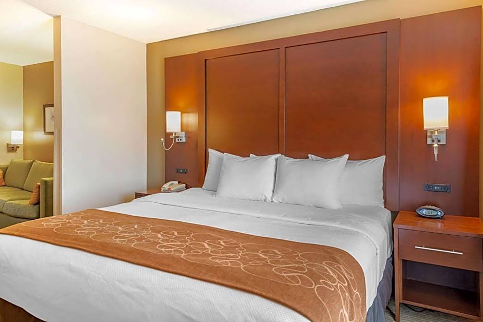 Comfort Suites Lancaster Amish Country