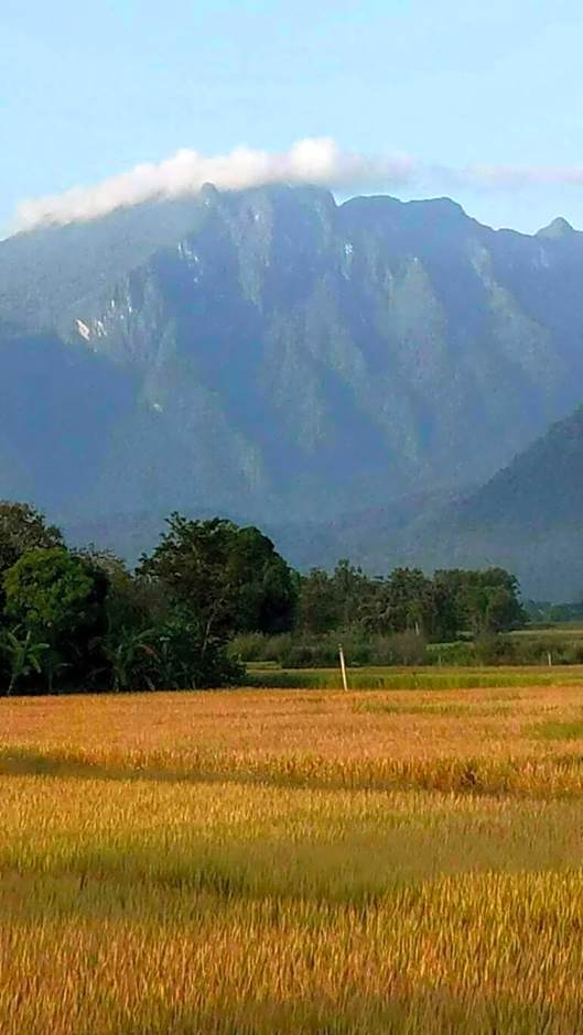 Ban Thung Talay Mok Chiangdao