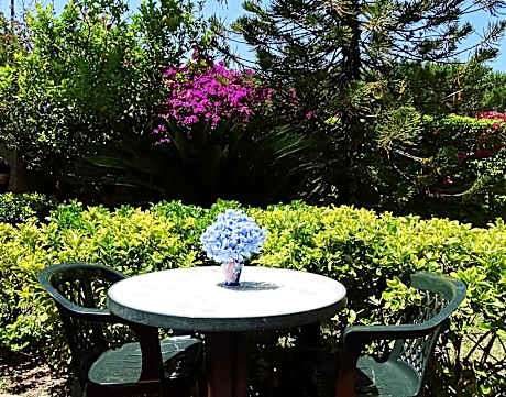 Classic Single Room with Shower