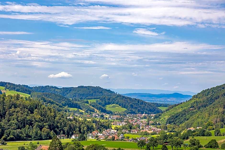 Hotel-Gasthaus Goldener Engel