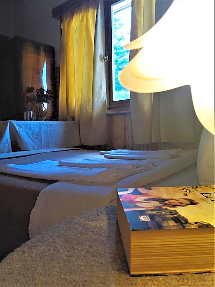 Hotel Acropolis Metsovo