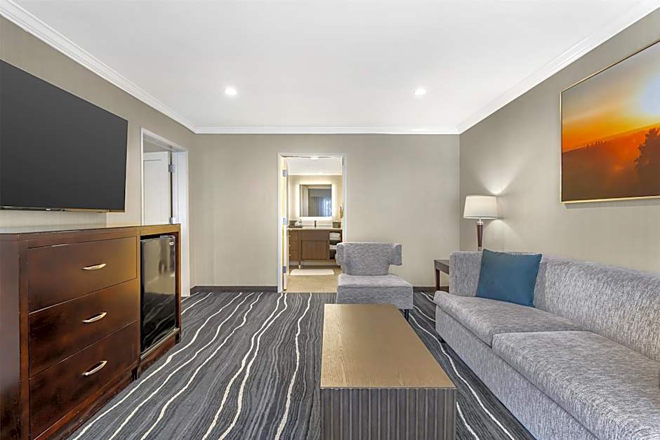 Photo 1 of 14 of 1 King Bed with Sofabed Suite