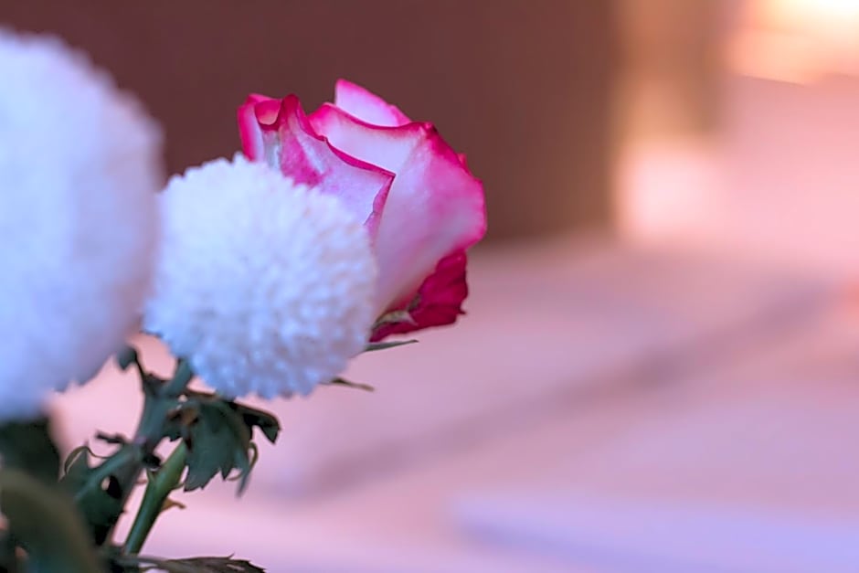 Villa Bucher - Metnitztalerhof