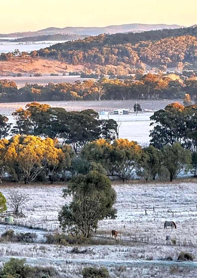Mudgee Homestead Guesthouse