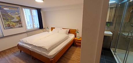 Double or Twin Room with City View