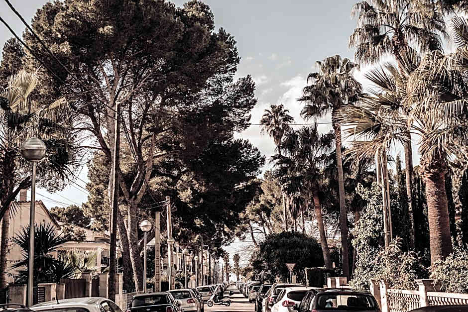 Cook's Club Palma Beach