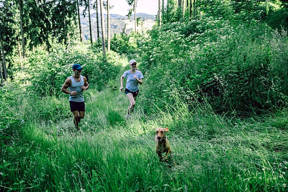 Karlingerhaus Hotel Hostel Home