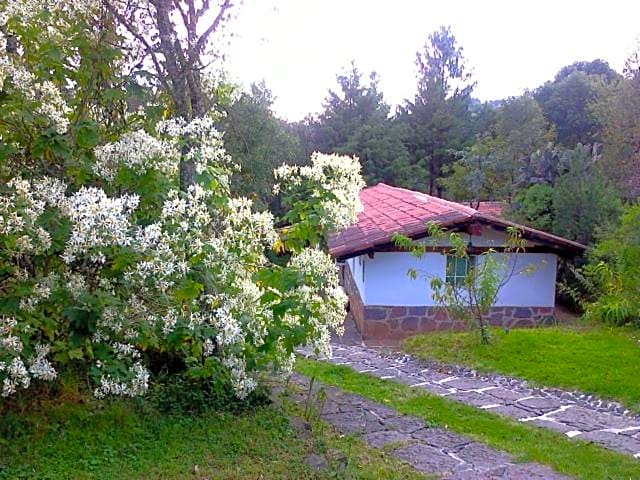 Villa Amacalli