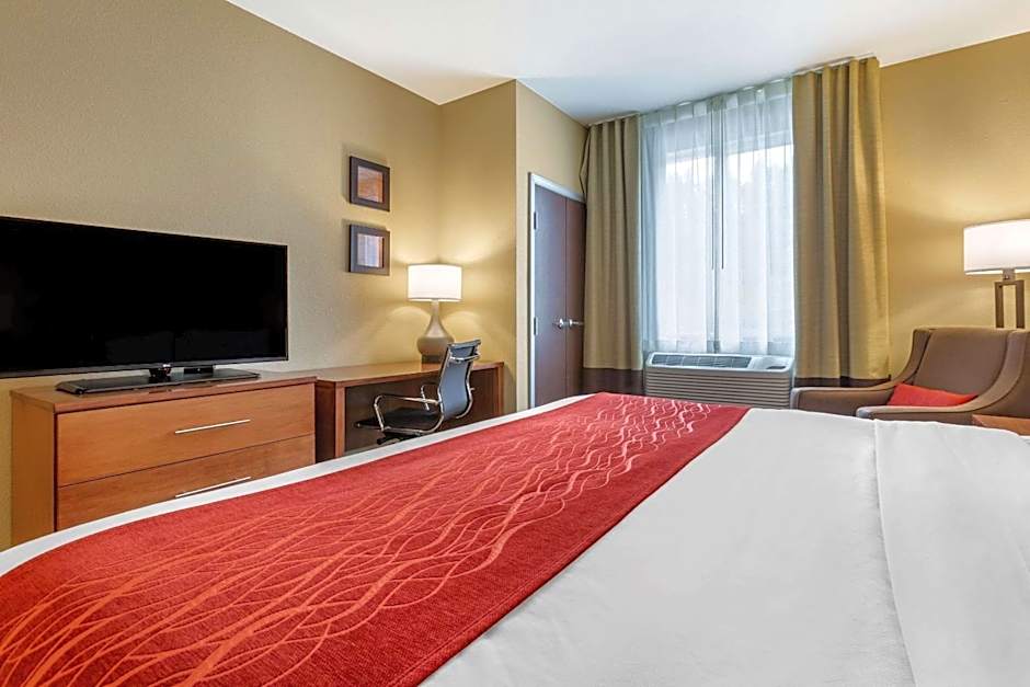 Comfort Inn & Suites Near Mt. Rushmore