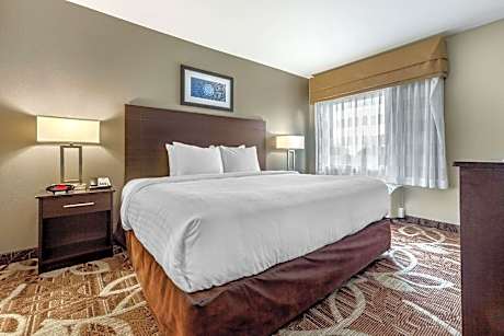 1 King Bed, Suite, Nonsmoking